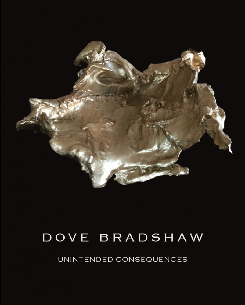 Dove Bradshaw: Unintended Consequences