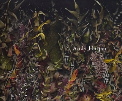 Andy Harper - Danese catalogue 2009