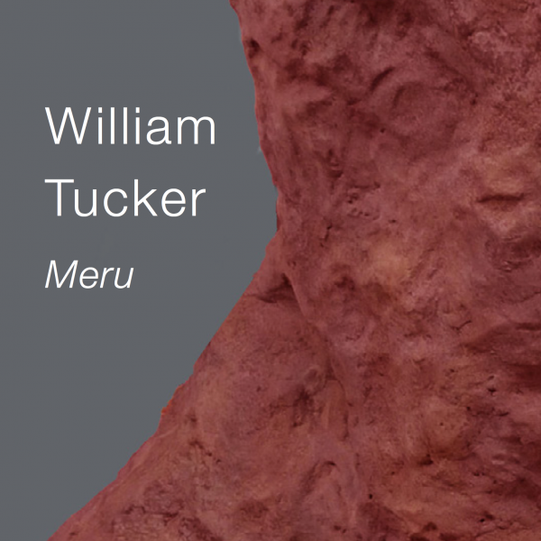 William Tucker: Meru